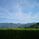 Residenza Bertolini Apartman Fosdinovo