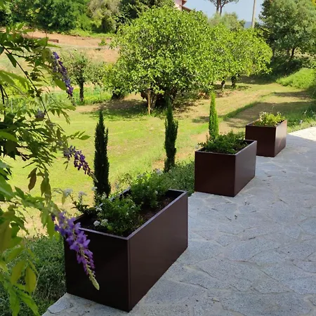 Residenza Bertolini * Fosdinovo